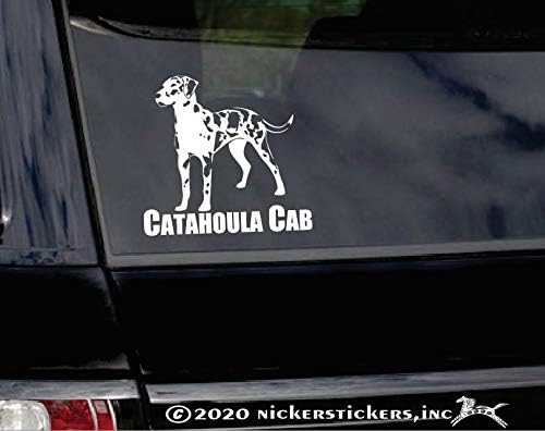מכונית קטאהולה | מדבקה מדבקה אוטומטית של חלון כלב נמר.